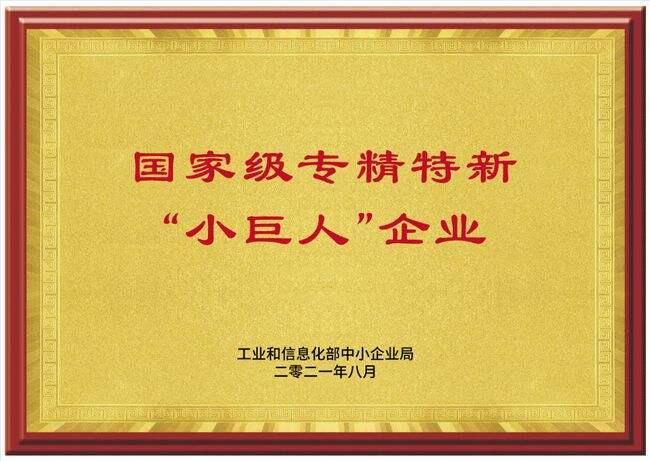 小巨人企业.jpg